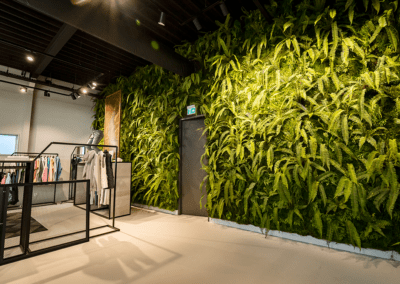 Ludec Pure White 2022 10