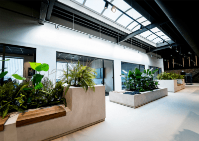 Ludec Pure White 2022 11